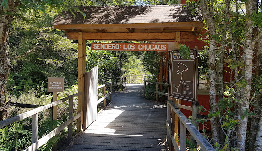 Pacote Chile - Imagem 3